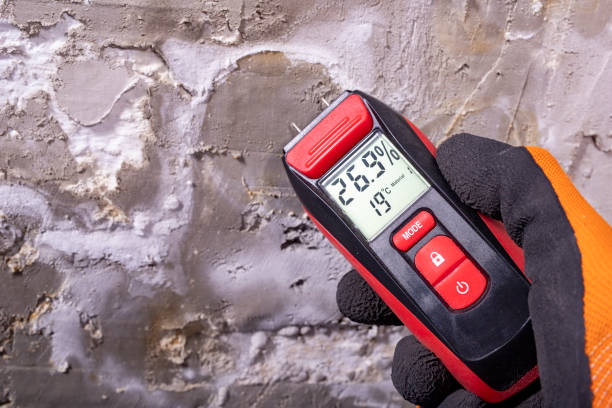 Best Preventive Mold Services in Toulon, IL