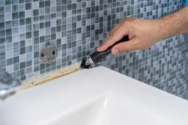Best Mold Testing and Inspection Services in Toulon, IL