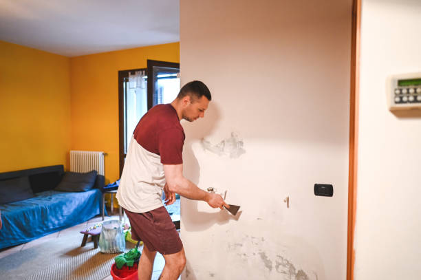 Best Crawl Space Mold Remediation in Toulon, IL